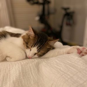 Meet your Posher, Rhonda